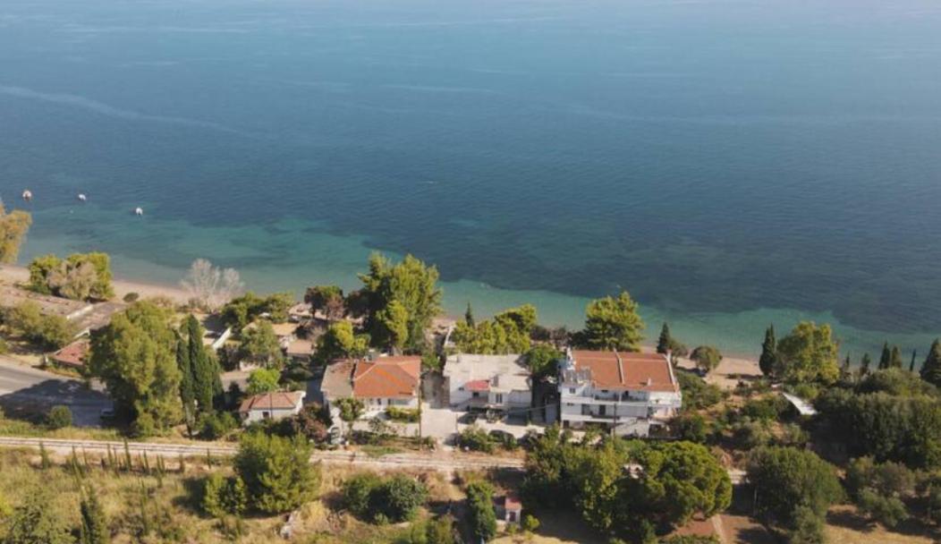 Alissos Sea Side Villa Alexandra מראה חיצוני תמונה