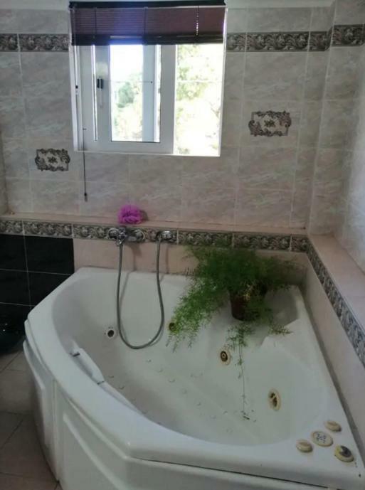 Alissos Sea Side Villa Alexandra מראה חיצוני תמונה
