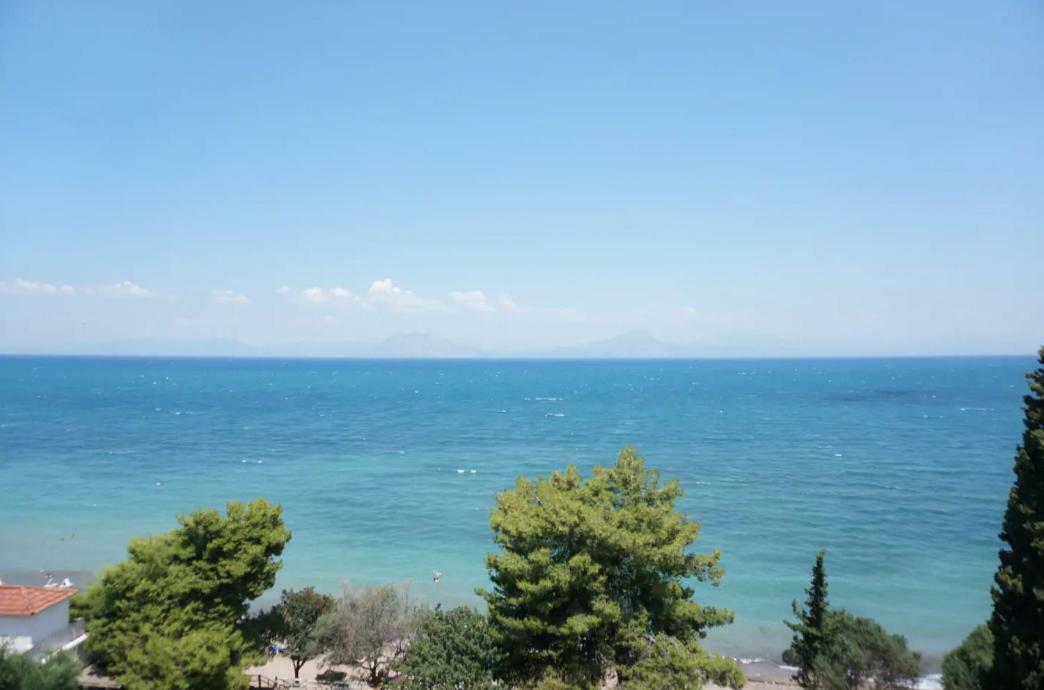 Alissos Sea Side Villa Alexandra מראה חיצוני תמונה